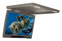 Потолочный монитор 20" ERGO ER20H (1680x1050) серый
