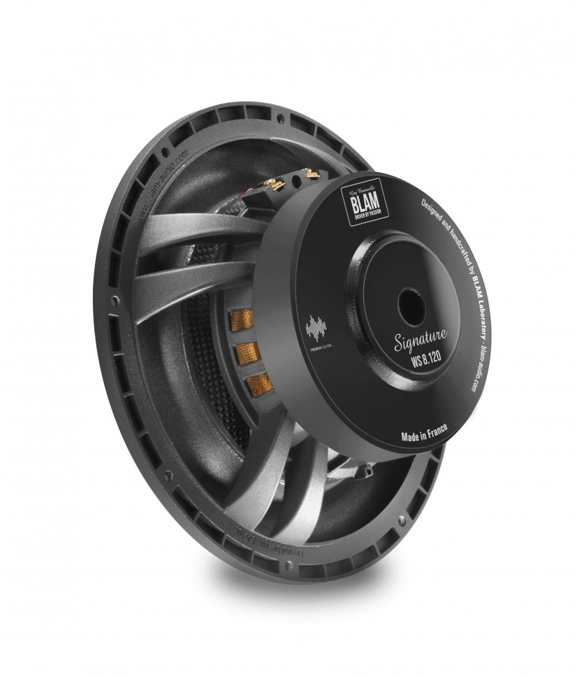 BLAM WS8120 - сабвуферный динамик