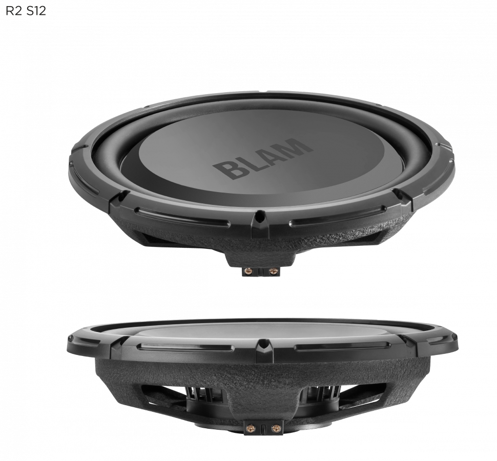 BLAM RS12.2 - сабвуферный динамик