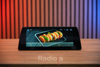 Монитор Android 10,25" для BMW X1/X2 (F48/F39) 2017+ EVO RDL-6509 L